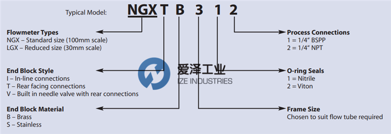 PLATON流量計(jì)NGX系列 愛澤工業(yè) izeindustries (1).png