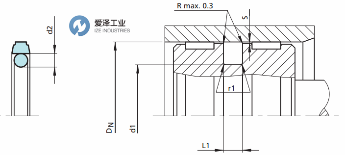 TRELLEBORG（B+S）格萊圈PT系列 愛(ài)澤工業(yè)ize-industries (2).png