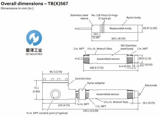 ABB PH電極TB567系列 愛澤工業(yè) izeindustries.png