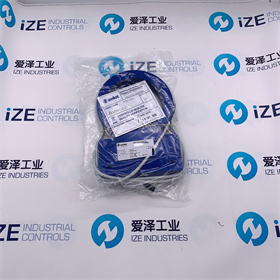 SELET傳感器B01AN100P0愛(ài)澤工業(yè)izeindustries (1).jpg