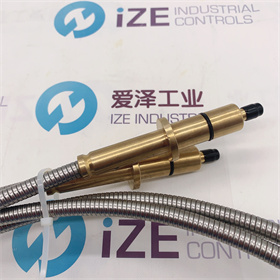 ABB火檢光纖SF810-F0-G-2400N 愛澤工業(yè) izeindustries (1).JPG