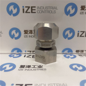 SEALWELD閥D-FW-LL2-SS 愛澤工業(yè) izeindustries (4).JPG