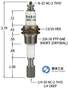 AUBURN電極液位計(jì)WCC-1138LT 愛澤工業(yè) izeindustries.jpg