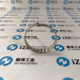 USATOLERANCERING公差環(huán)BN55X10S 愛(ài)澤工業(yè) izeindustries (4).JPG