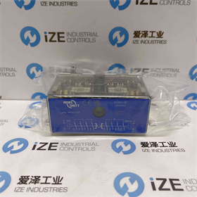 SMITT繼電器KDN-B 220VDC  愛澤工業(yè) izeindustries (1).JPG