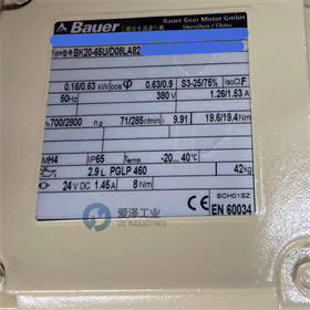 BAUER減速機BK20-65UD08LA82-TF-D-FV-KESX010A8SP 愛澤工業(yè) izeindustries (4).jpg