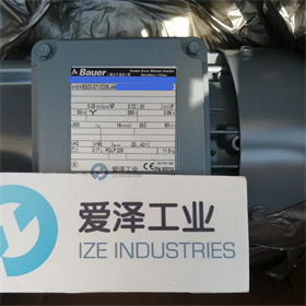 BAUER減速機BS03-37VD08LA6 愛澤工業(yè) izeindustries (6).jpg