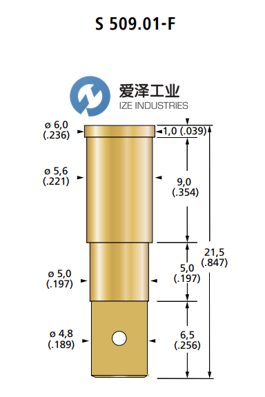 FIXTEST探針S 509.01-F 愛(ài)澤工業(yè) izeindustries.png