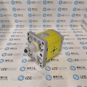 VIVOLO泵X2P5302EPOA 愛澤工業(yè) izeindustries (2).jpg