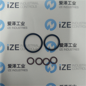 BWB維修包11033-00-101 愛澤工業(yè) izeindustries (5).jpg