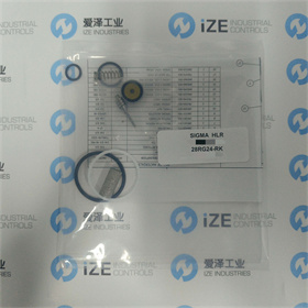 SIGMA維修包28RG24-RK 愛澤工業(yè) izeindustries (3).jpg