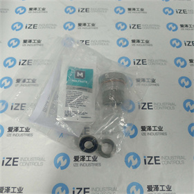 SAUTER維修包0560260001 愛澤工業(yè) izeindustries (4).jpg