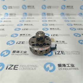 BL工具Light-5A-M-H10A 愛澤工業(yè) izeindustries (12).jpg