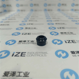 BL-AUTOTEC橡皮閥P000006 愛澤工業(yè) izeindustries (5).jpg