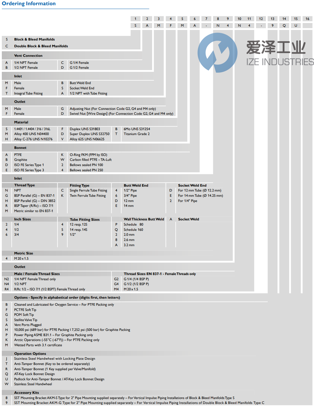 AS-SCHNEIDER閥組SAFMSA-N4N4-AH 愛(ài)澤工業(yè) ize-industries (2).png