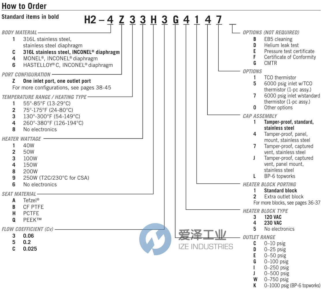 GO REGULATOR調(diào)節(jié)器H2-1L33Q3E4111 愛澤工業(yè) ize-industries (2).png