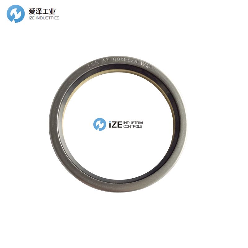 BUSAK SHAMBAN b+s wm0100800-nbm 愛澤工業(yè) izeindustries.jpg