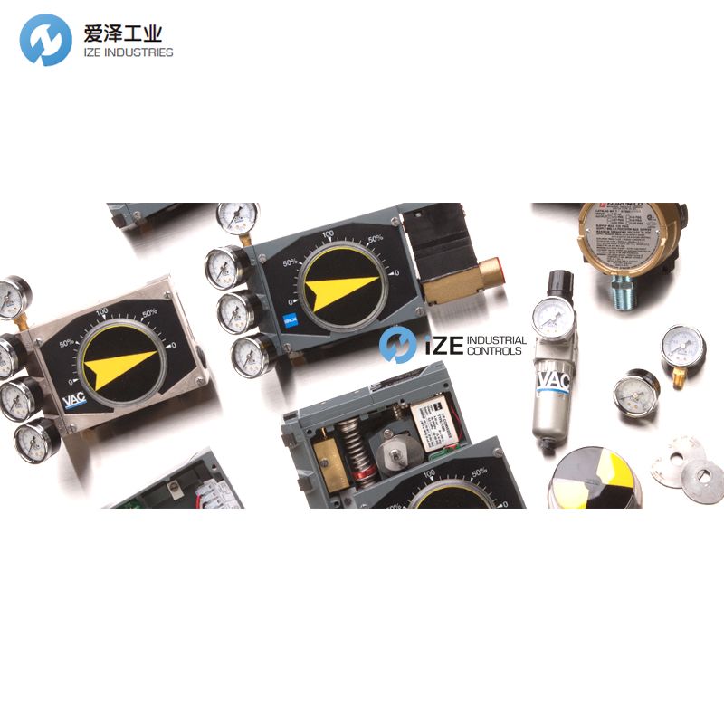 BLX VAC V100 POSITIONER izeindustrialcontrols 愛澤工業(yè).jpg