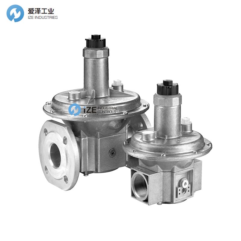 dungs FRS izeindustrialcontrols 愛澤工業(yè).jpg