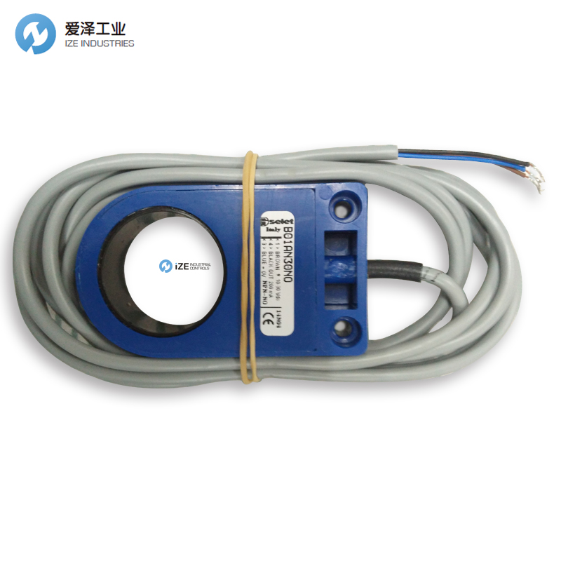 SELET B01AN30NO  愛(ài)澤工業(yè) izeindustrialcontrols.jpg