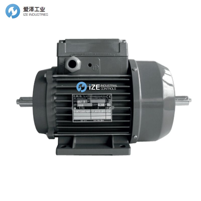 E.M.G電機TIPO804 示例TIPO80-4 307DA30178愛澤工業(yè) izeindustrialcontrols.jpg