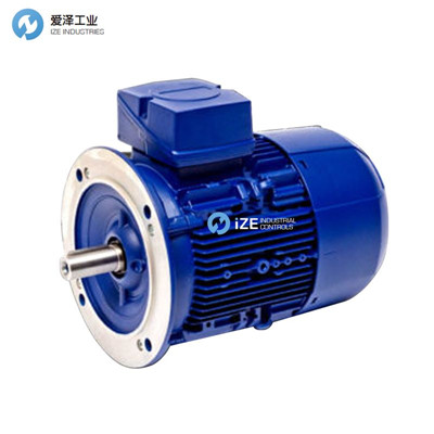 ROBERT BIRKENBEUL電機8APE90L-4-IE3 愛澤工業(yè)izeindustries.jpg