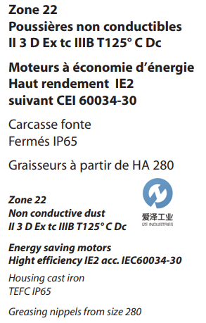 VEM電機(jī)IE2-W21F系列 愛澤工業(yè)izeindustries.png