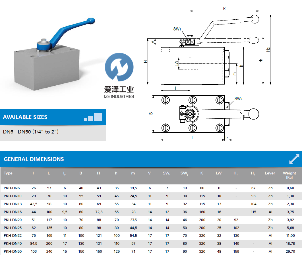 MHA-ZENTGRAF-球閥PKH系列 PKH-DN13-442A 愛澤工業(yè) izeindustries (2).png