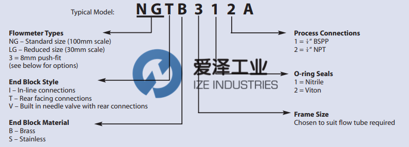 PLATON-流量計(jì)NG系列 愛澤工業(yè) izeindustries (2).png