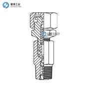 SEALWELD注脂接頭F-FWTQS系列 示例F-FWQS-1/2-SS