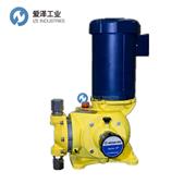 MILTONROY(LMI) pump P series